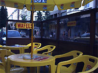 Terras